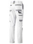 Picture of Bisley Painters Contrast Cargo Pants BPC6422